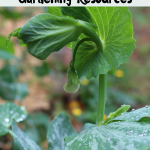 Our Go-to Gardening Resources