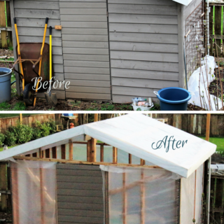 shed to greenhouse transformation