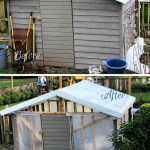 How to transform your shed into a greenhouse