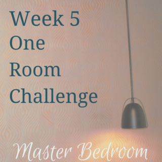 week 5 one room challenge