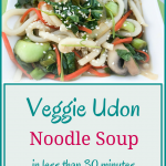 Veggie Udon Noodles Soup – Vegan