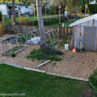 Yard Transformation Challenge 2018 - planning the backyard